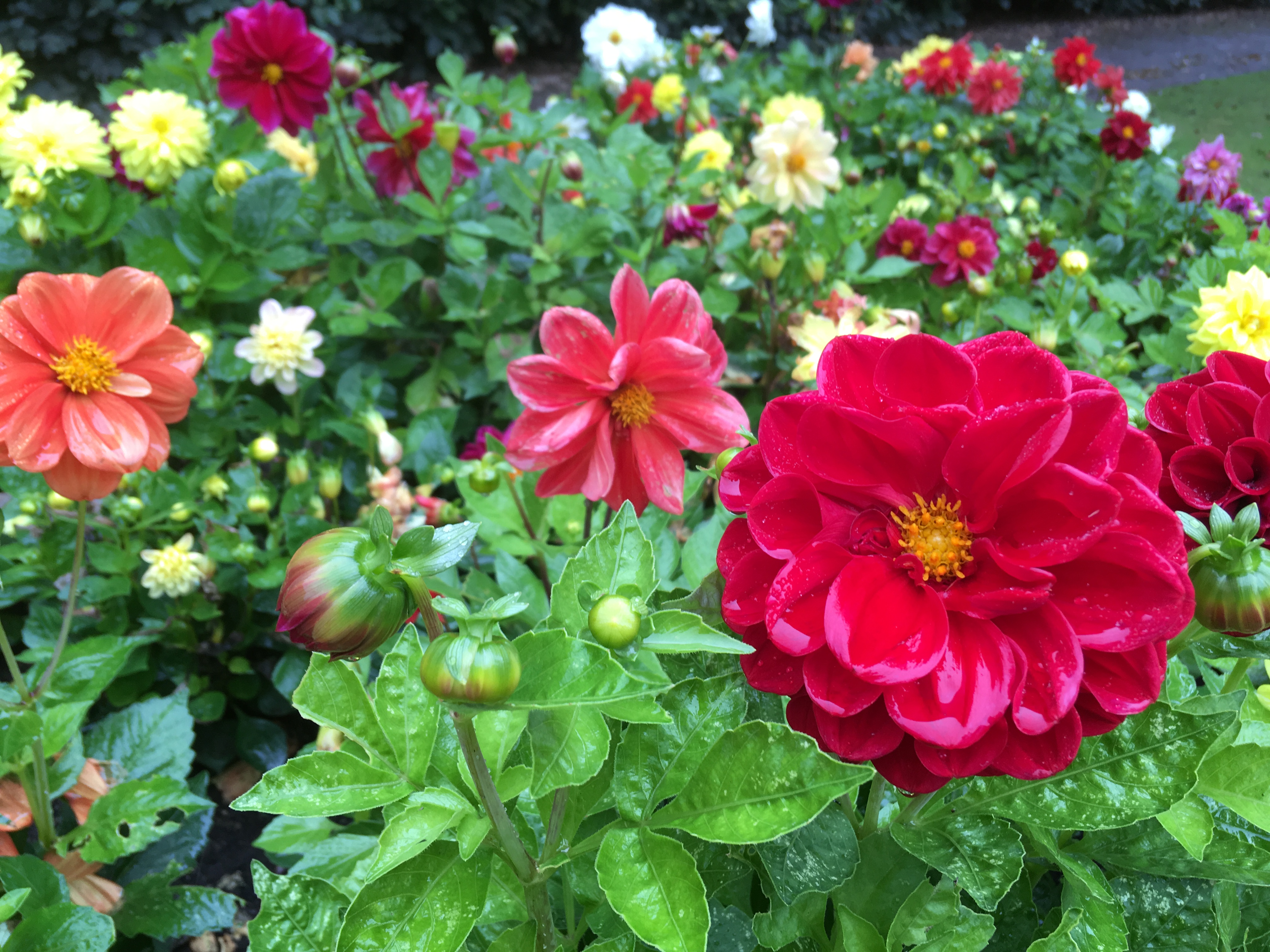 20180826_141904473_iOS